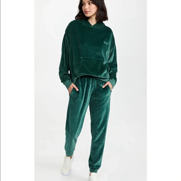 NWT $148 WSLY Eco Plush Classic Pocket Hoodie in Tourmaline Small - Picture 3 of 12